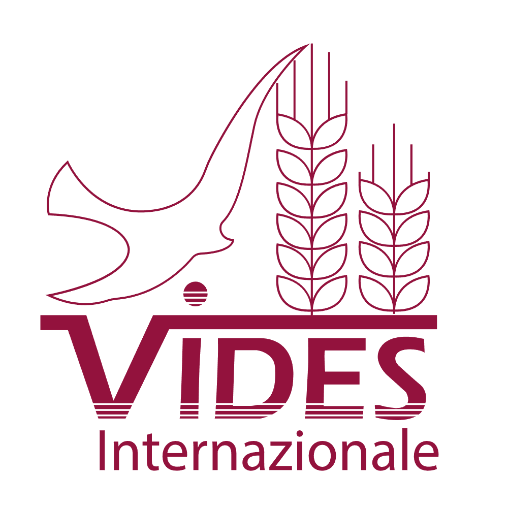 logo du partenaire: Le Vidès international